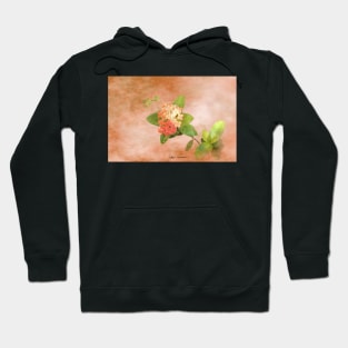 Peach Flowers Digital Art Hoodie